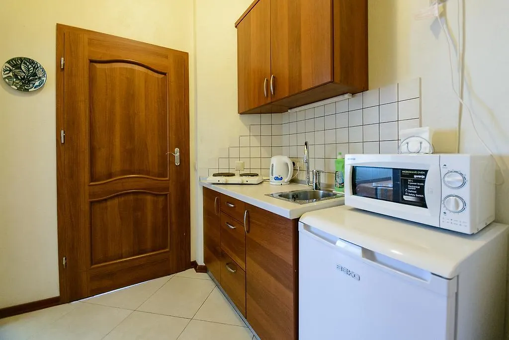 Простора 3 Кімнатна Біля Майдану Незалежності Apartment Kyiv